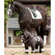 LeMieux Hobby Horse kandar hoofdstel